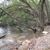 Saltpan Creek - 10 km from La Perouse